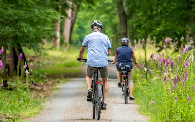 RadBahn Münsterland