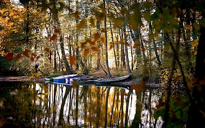Die Aufnahme zeigt Herbstmotive im Bagno-Park in Steinfurt.