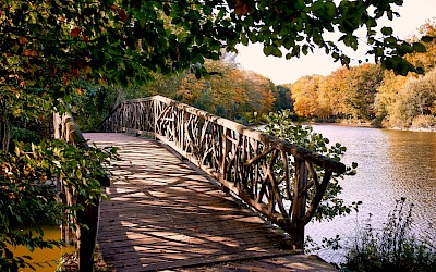 Idyllische Herbststimmung im Steinfurter Bagno