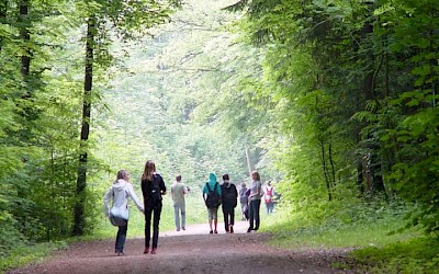 Buchenberg