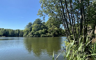 Die Ruineninsel im Bagnosee